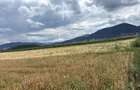 BRASOV,Teren agricol 19.600 mp, 1,96 ha/ Săcele,Front stradal 56 ml,Investiție - 4