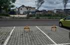 Vanzare-Loc-Parcare-Grandis-Residence-Casa-Nobel-Tractorul - 2