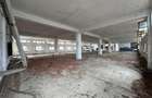 Hala, spatiu comercial, vad, de la 423mp la 1744mp, Vama Albita - 29