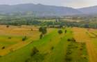 Teren 8439 mp , extravilan Sinca Noua, Brasov - 1