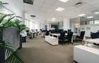 Maestro Business Center - 5