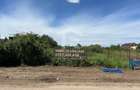 Teren cu deschidere lac Snagov Vladiceasca - 3