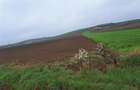RECO teren Ghenetea 7800mp - 2