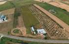 Livadă de 3,6 hectare în Iratoșu – Oportunitate - 4