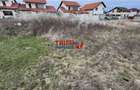 Teren de vanzare 500mp Alba Micesti - 2