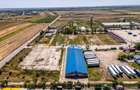Teren industrial 16.000 mp lângă Autostrada A1 – Căteasca - 5
