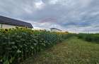 Teren intravilan 2600 mp de vânzare, Ipotești- Lisaura, Suceava - 10