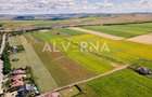 INVESTITIE! Teren constructii 11.600 mp | front 45.7m | Jucu de Sus - 4