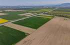 Unitate investitionala: 47.577 mp, Codlea .-. Ghimbav, acces facil, ariere remar - 15