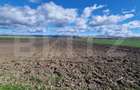 Teren Extravilan 15000 mp- parcelat in 3 loturi Bod- 5000 mp fiecare parcela - 4