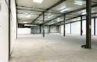 Hala de inchiriat Arad – 1.135 mp pentru comert, servicii - 6