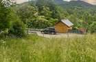 TEREN DE VANZARE VALEA DOFTANEI - 5