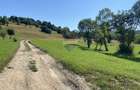 Teren 4,306mp Vama Buzaului langa Cascada Urlatoarea - 3