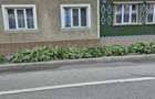 Vand casa in Baile Herculane  - 3