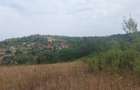Loc de casa -Sistarovat - 3