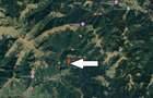 INVESTITIE - Casa de vacanta la rosu in Valea Mariilor, com. Sant - 5