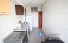 Inchiriere apartament 2 camere Unirii - 11