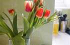 Rezidenta tip penthouse,doua nivele, terase,panouri solare,Avantgarden, Bartolom - 20