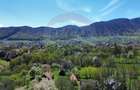 Ocazie! Teren 2885 mp Bran- Predelut / Strada Pe Tarina nr. 70A - 8