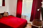 Apartament 2 camere Dristor, 10 minute de metrou, mobilat si utilat modern - 4