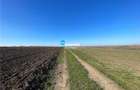 Rediu Horlesti 30000 mp  Soseaua DJ 282 - 1
