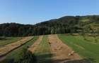 Teren 5886 mp In Bucovina - Bucsoaia! De Vanzare! 0727817187 - 9