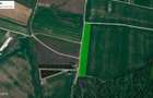 Vanzare teren 10.000 mp, Snagov - Ciolpani, padure, utilitati - 1