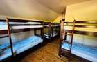 Casa de inchiriat, 5 camere, 130 mp, 450 mp teren, zona Madaras