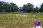 Teren intravilat| Zona rezidentila 1156 mp-TURNISOR - 3