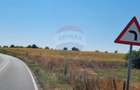 Teren 16.083 mp de vânzare – Sinești, sat Lilieci, Slobozia - 2