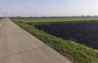 Teren extravilan, 9300mp, 55ml deschidere la drum, Satu Mare, Radauti