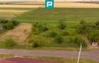 Teren intravilan de 596mp în Cicir, Vladimirescu - 11
