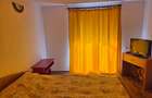 Cabana de vanzare, 200 utili, 600 teren, locatie de Vis -Muntele Rece - 6