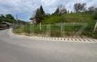 Teren intravilan 3.100 mp | Zonă de case | Valea Budacului | Toate utilitatile - 2