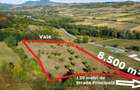 VIDEO | Super view | Teren 8.500 m² in Maramures | Viitorul tau colt de liniste