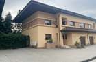 Iancu Nicolae 6 bedrooms villa - 4