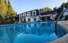 Vila individuala, teren 3000 mp, Iancu Nicolae - 30