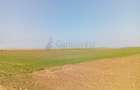 Teren de vanzare in Biharia, cu o suprafata de 20000 mp intravilan - 4