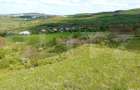 Teren intravilan de investitie, 936 mp in Borhanci - 1