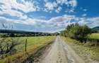 Teren intravilan, 5861 mp - Tocile - 1