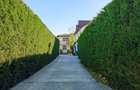 Casa 5 camere | 4 dormitoare | Ready to move in  | Teren 403 mp | Sabareni - 10