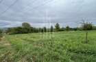 Teren intravilan de vânzare în Daia Nouă – 1.000 mp - 1