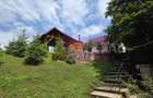 Vila din padure in Valea Doftanei - 38