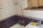 PIATA SUDULUI ,APARTAMENT INCHIRIERE PET FRIENDLY - 11