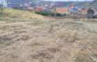 Vanzare Teren intravilan 3133 mp strada Sofiei, Oradea, Bihor - Exclusivitatate - 2