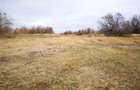 Vând teren agricol  2 ha cu deschidere la Dunăre - 5