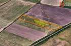 Teren extravilan 27.500 mp de vanzare in Timisoara-Zona Exterior Vest Mehala - 2