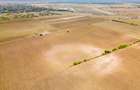 DASCALU – TEREN INTRAVILAN 11300 MP, INVESTITIE! - 9