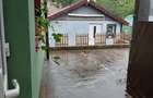 : Casă de țară gata de mutat, de vânzare în Preselenți, comuna General Toshevo 9 - 7
