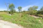 Teren intravilan 2.000m², Bascov - Arges - 3